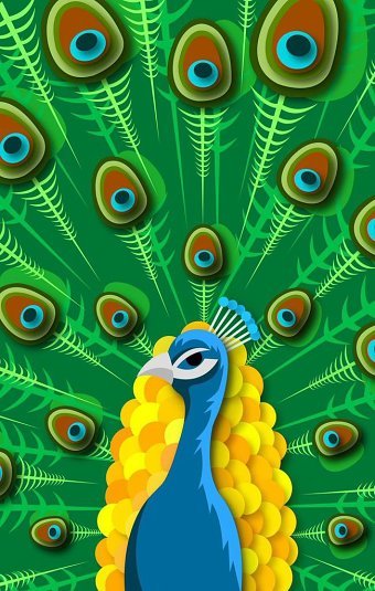 Peacock