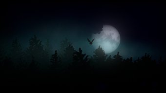 The Hallowed Moon