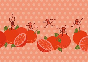Orange forest