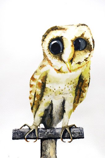 The Awful Art of Failed Taxidermy