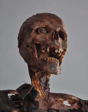 Undead Miner