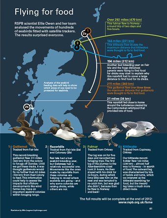 Infographics