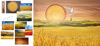 Zlato polje ( Golden field )