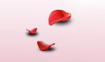 LG Advertising Campaign