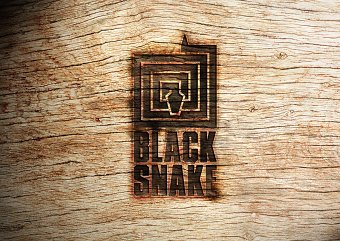 BLACK SNAKE