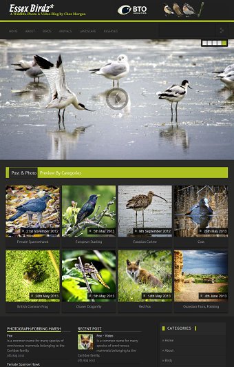 "Essex Birdz" Wildlife Website