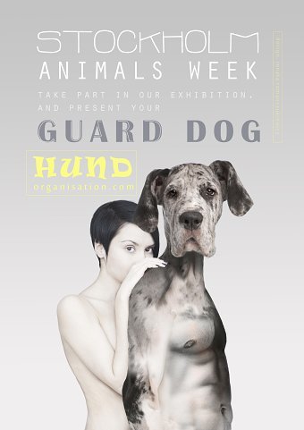 Animal week