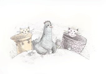 The two teacup cats