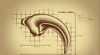 Title Seq: Jurassic Park