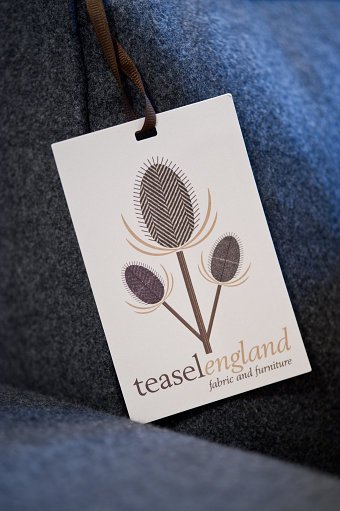 Teasel England