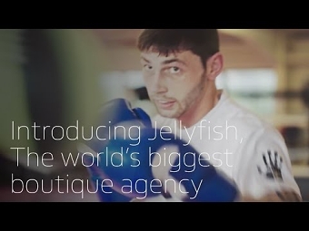 Jellyfish Promo: The Boxer