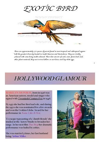 Hollywood + Animals