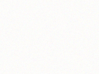 Self Portrait Branding 2