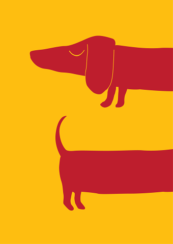 Neville the Sausage Dog