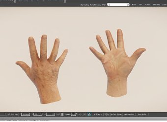 3d hands