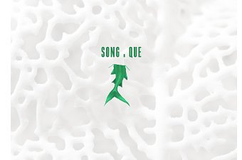 Song Que , Vietnam Seafood Restaurant
