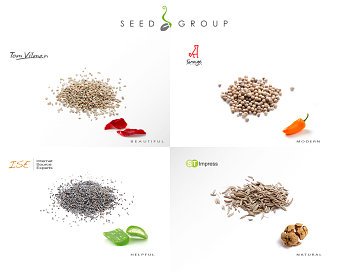 Website Design