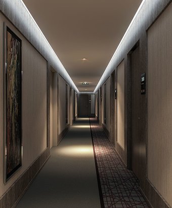 RADISSON BLUE