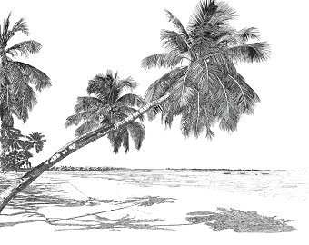 Beach cover