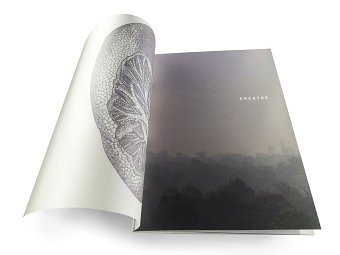 World Health Organisation 'Breathe' Book