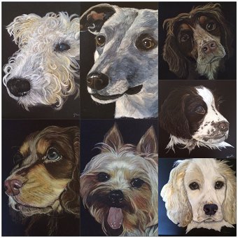 Collection of portraits