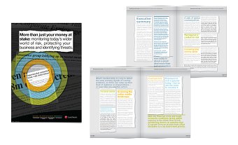 Risk white paper