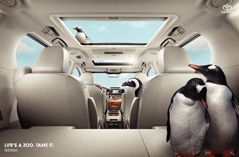 Toyota Sienna. Life's a zoo.