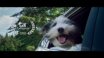 Hybrid Awards