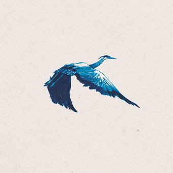 Cacophony - Personal Illustration