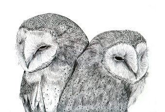 Inktober 2014