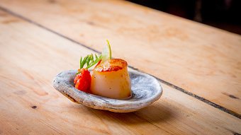 Food Shoot