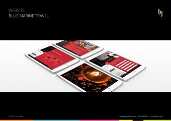 Website