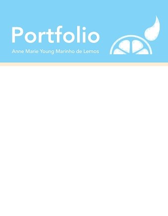 Portfolio Main Projects Overview