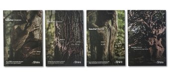 Disease Education Campaign