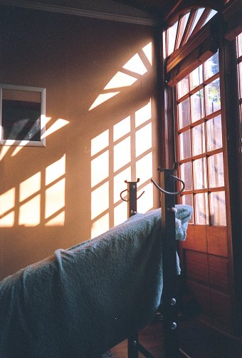 Everyday Camera Shots