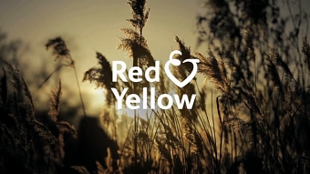 Red & Yellow Care Planning film