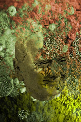 MOLD