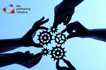 Web Design for The Partnering Initiative