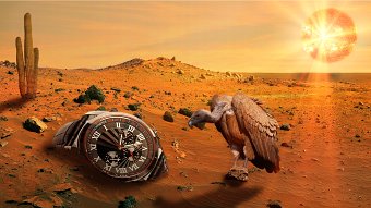 Timeless Desert