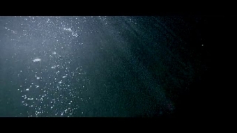 TAWIAH "Teardrop"