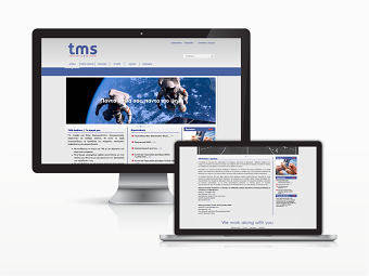 TMS Auditors