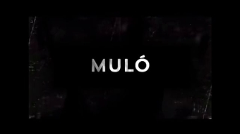 Mulo - short film