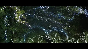B&Q 'WOODLAND LIGHTS"