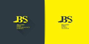 Brand Smit Performance Horses