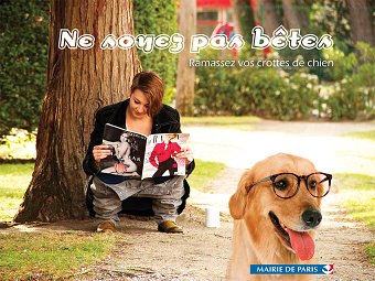 Clean up after your dog