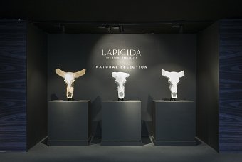 Lapicida Decorex