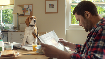 Life Insurance, Simply Done
