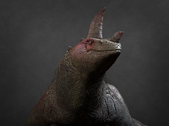 Creature Designs