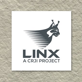 LINX - Logo Design and Visual Identity