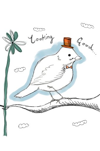 Bird Card Design